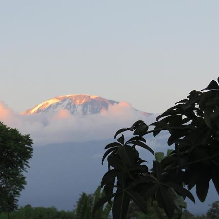Kilimanjaro White House Hotel Moshi Dış mekan fotoğraf